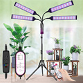 USB LED Plant Lamp Full Spectrum Phyto lamp